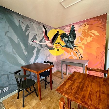 埃尔卡拉法特 Amancay, Hostal Patagonico酒店 外观 照片