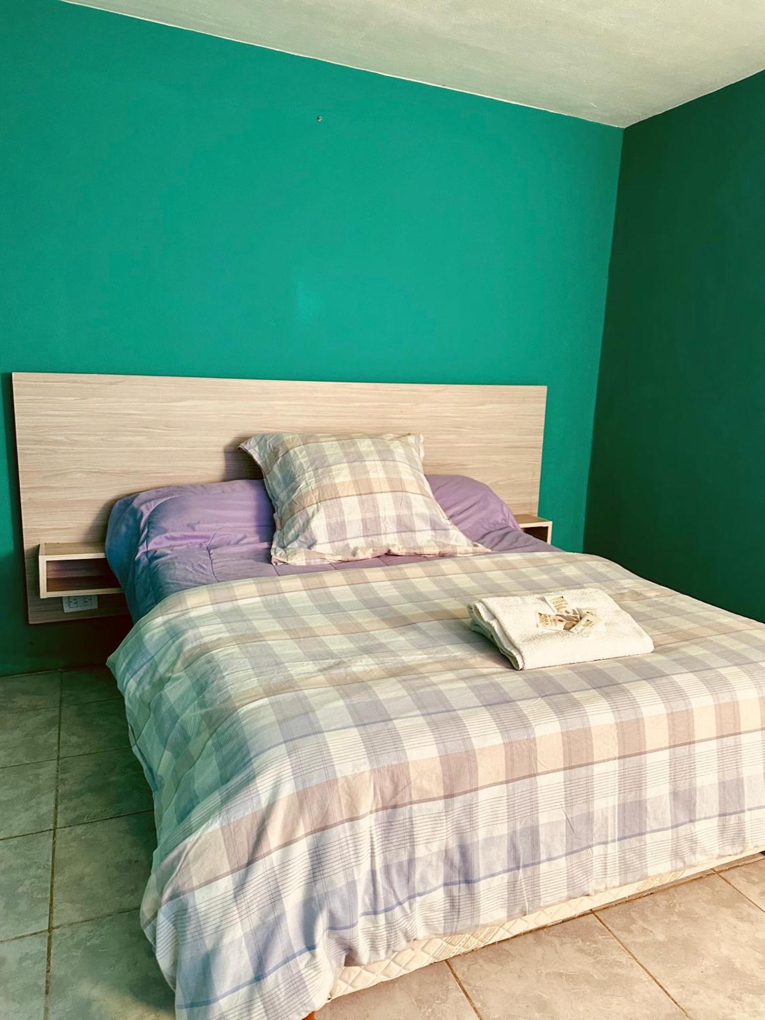 埃尔卡拉法特 Amancay, Hostal Patagonico酒店 外观 照片